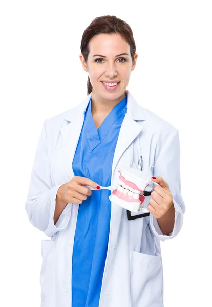 Dr. Elena Munteanu